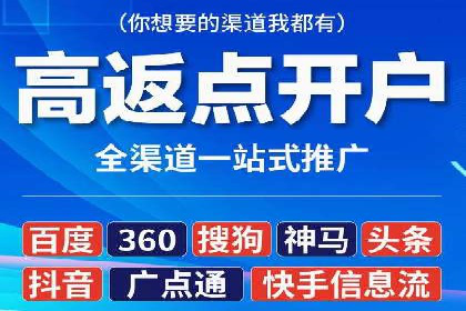 搜索引擎营销（SEM）成功运营的五大案例